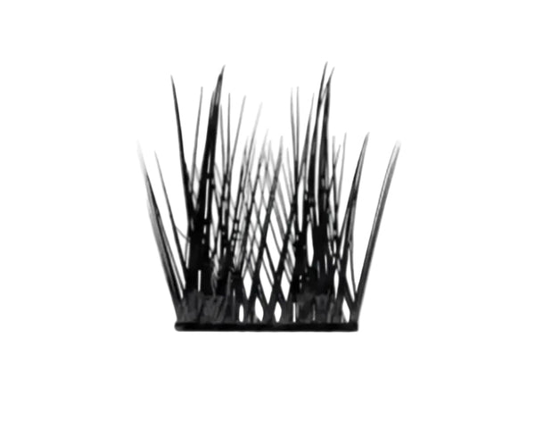 DOLL Cluster Lash